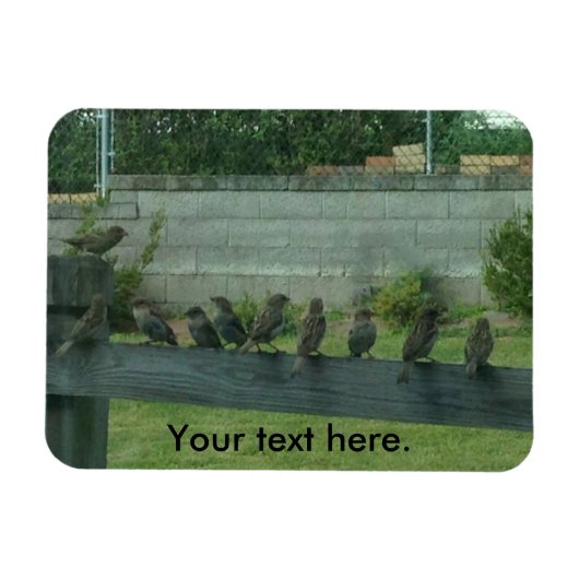 Vogelspangen auf Schienenmagneten Magnet (Horizontal)