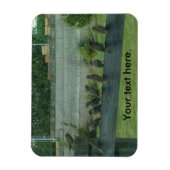 Vogelspangen auf Schienenmagneten Magnet (Vertikal)