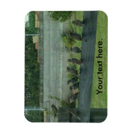 Vogelspangen auf Schienenmagneten Magnet