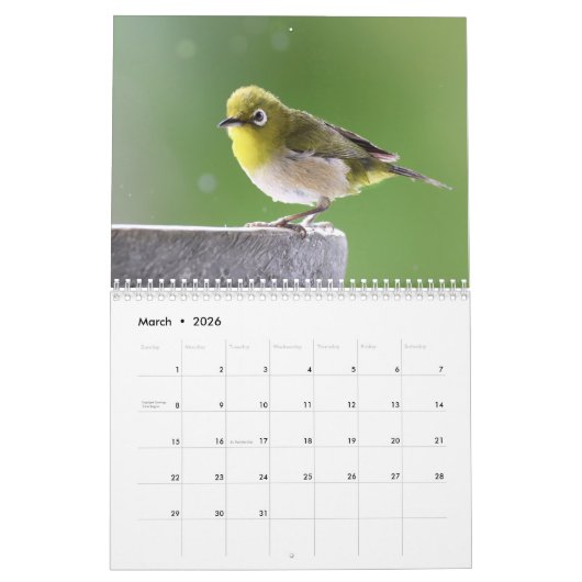 Vogelspass am Springbrunnen Kalender (Mär 2026)