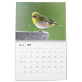 Vogelspass am Springbrunnen Kalender (Mär 2027)