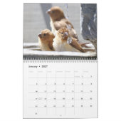 Vogelspass am Springbrunnen Kalender (Jan 2027)
