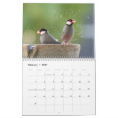 Vogelspass am Springbrunnen Kalender (Feb 2027)