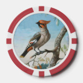 Vogelstudie von George Edwards (1694-1773) Pokerchips (Vorderseite)