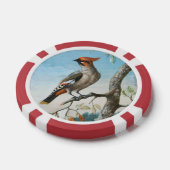 Vogelstudie von George Edwards (1694-1773) Pokerchips (Einzeln)