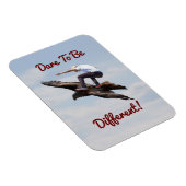 Vogelsurfen Magnet (Rechte Seite)