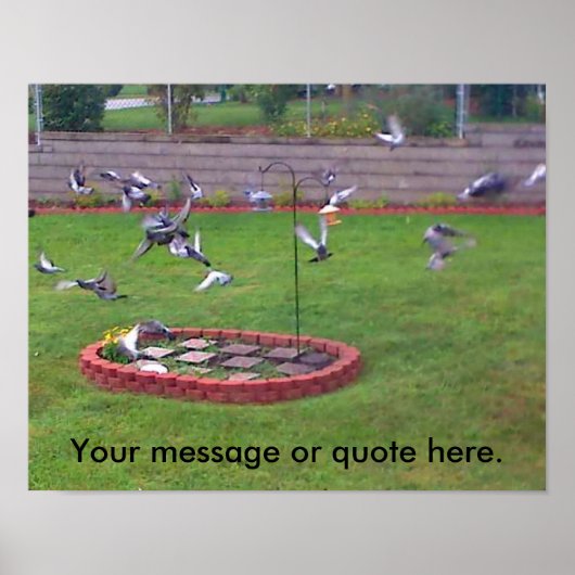Vogeltauben Fliegenjacke Ihre Textposter Poster (Vorne)