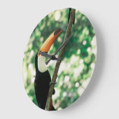 Vogeluhr Große Wanduhr (Winkel)
