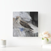 Vogeluhr Quadratische Wanduhr (Zuhause)