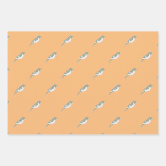 Vogelumhüllungspapier Geschenkpapier Set (Vorderseite)