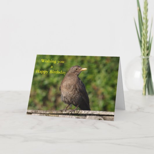 Vogelvogel Karte (Vorderseite)