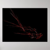 Vogelvögel Poster (Vorne)