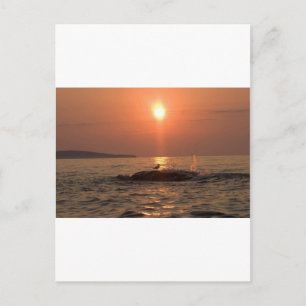 Vogelvogel Postkarte