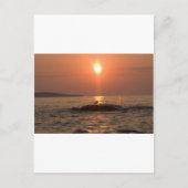 Vogelvogel Postkarte (Vorderseite)