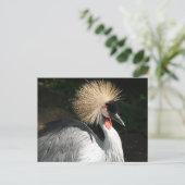 Vogelvogel Postkarte (Stehend Vorderseite)