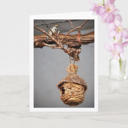 Vogelvogel über Birdhouse Karte (Orchidee)