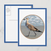 Vogelwanderung mit der Schiffszirkkarte Postkarte (Vorne/Hinten)
