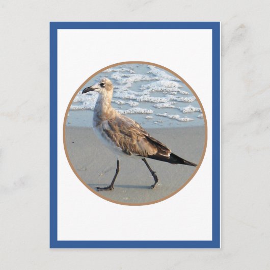 Vogelwanderung mit der Schiffszirkkarte Postkarte (Vorderseite)