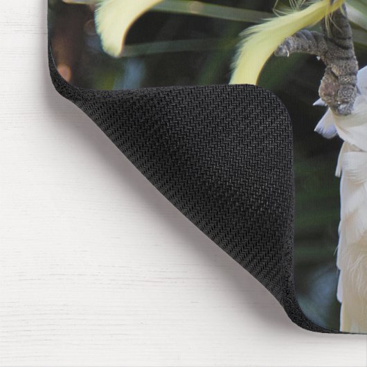 Vogelwellen von Schwefelkakatoo Mousepad (Ecke)