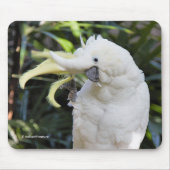 Vogelwellen von Schwefelkakatoo Mousepad (Vorne)