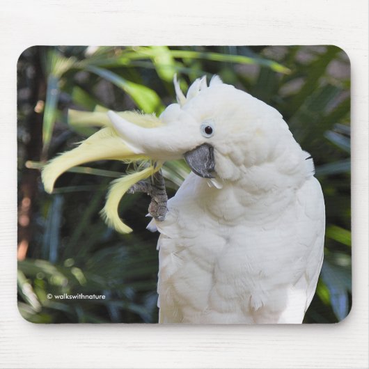 Vogelwellen von Schwefelkakatoo Mousepad (Vorne)