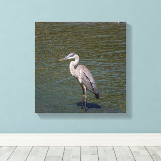 Vogelwelt-Leinwand Leinwanddruck (Insitu (Holzboden))