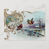 Vogelwelt Postkarte (Vorderseite)