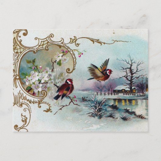 Vogelwelt Postkarte (Vorderseite)