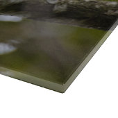 Vogelwelt, Roadside Hawk Belize Schneidebrett (Ecke)