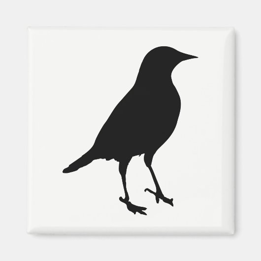 Vogelwelt-Silhouette Magnet (Vorne)
