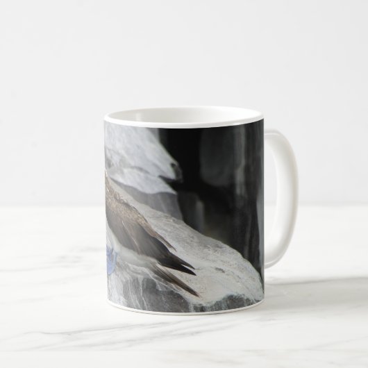 Vogelwelt-Tasse Kaffeetasse (VorderseiteRechts)