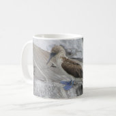 Vogelwelt-Tasse Kaffeetasse (Vorderseite Links)