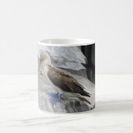 Vogelwelt-Tasse Kaffeetasse