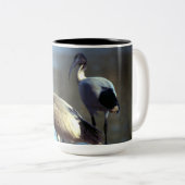 Vogelwelt-Tasse Zweifarbige Tasse (VorderseiteRechts)