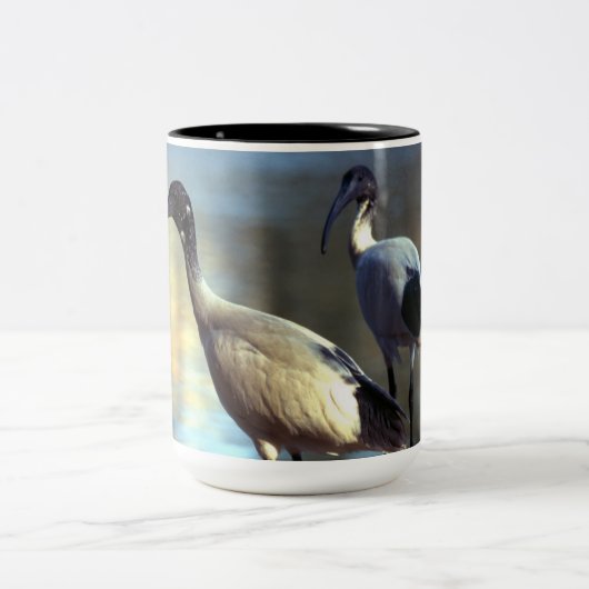 Vogelwelt-Tasse Zweifarbige Tasse (Mittel)