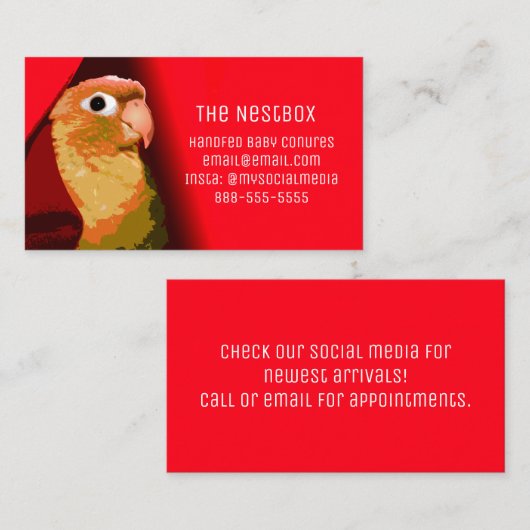 Vogelzüchter oder -rettung aus Rotkäppchen Visitenkarte (Vorne/Hinten)