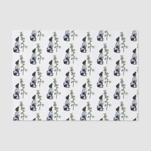 Vogelzündpapier Seidenpapier (Vorderseite)