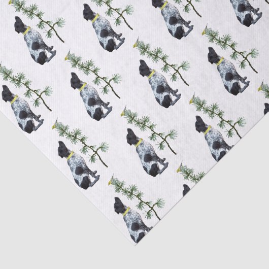 Vogelzündpapier Seidenpapier (Ausschnitt)