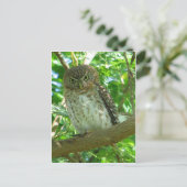 Vogelzweig Postkarte (Stehend Vorderseite)