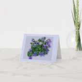 Voilets Karte (Vorderseite)