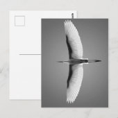 Vol Oiseau grandes ailes Postkarte (Vorne/Hinten)