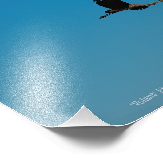 Volant Fotodruck (Ecke)