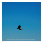 Volant Fotodruck (Vorne)