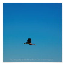 Volant