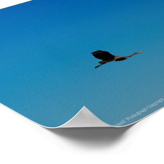 Volant Poster (Ecke)