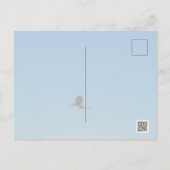 Volant Postkarte (Rückseite)