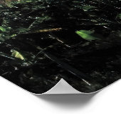 Volcan Concepcion Poster (Ecke)