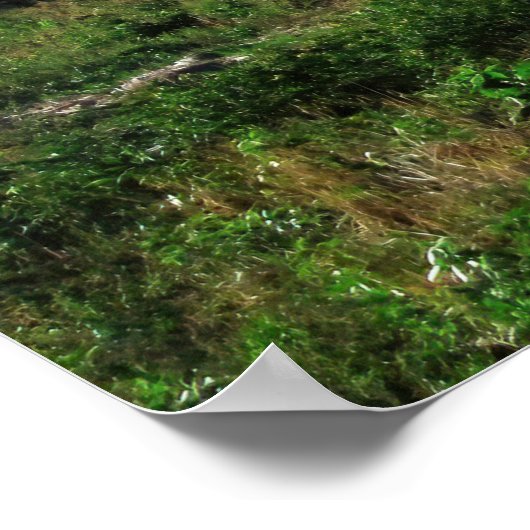 Volcan Concepcion Poster (Ecke)