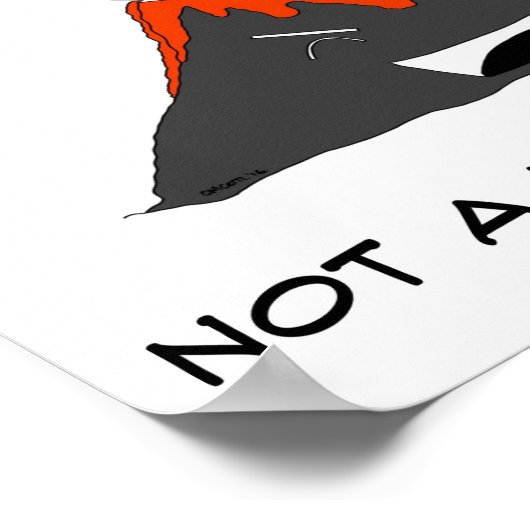 VolCANo Poster (Ecke)