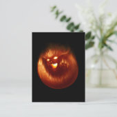 Volcanokitten Postcard Postkarte (Stehend Vorderseite)